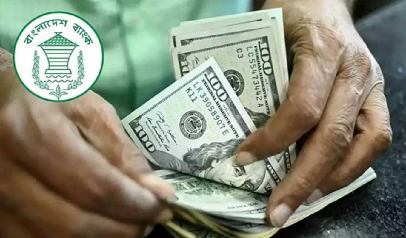 Central Bank Buys $141m to Steady Forex