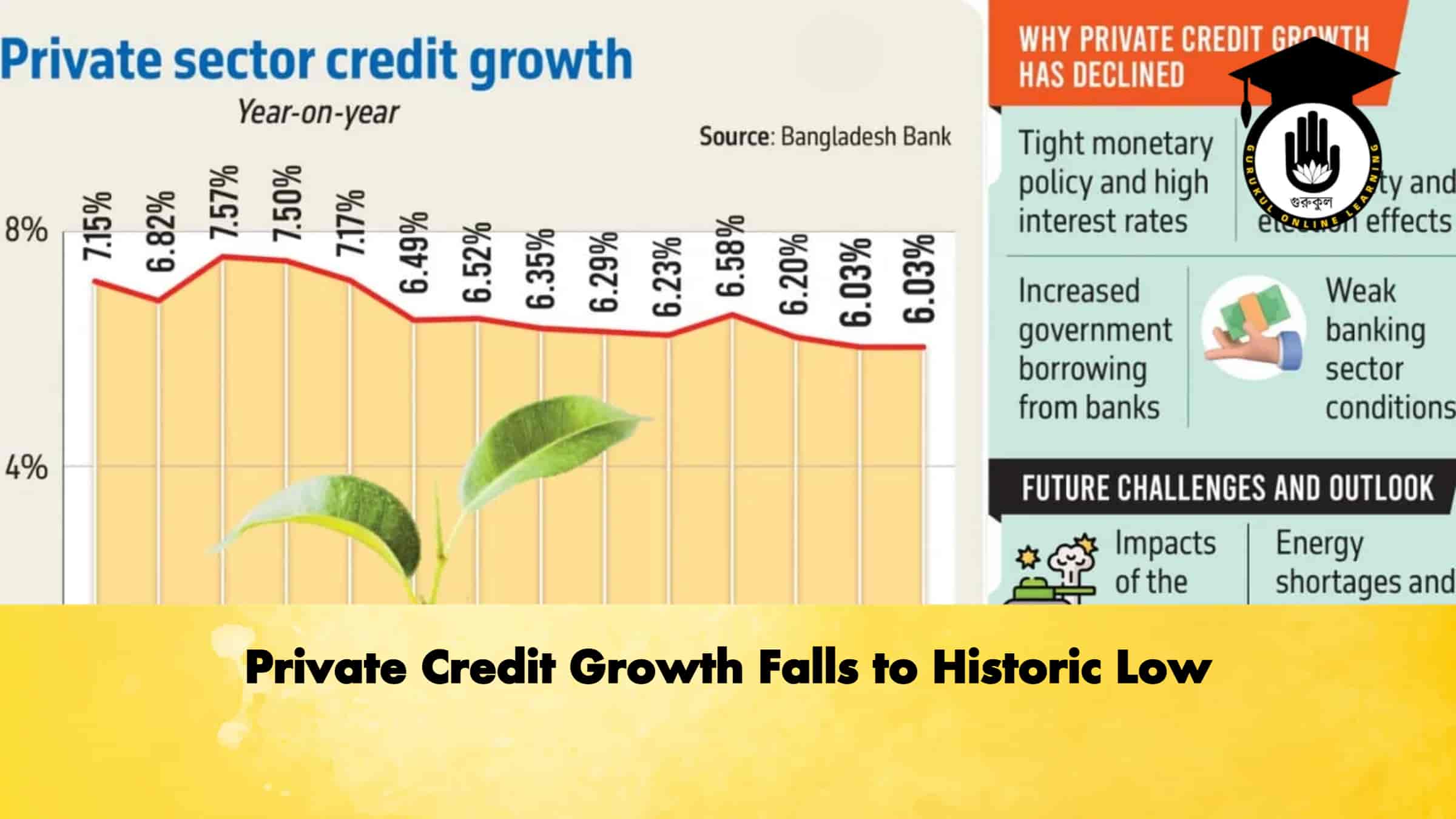 Private Credit Growth Falls to Historic Low