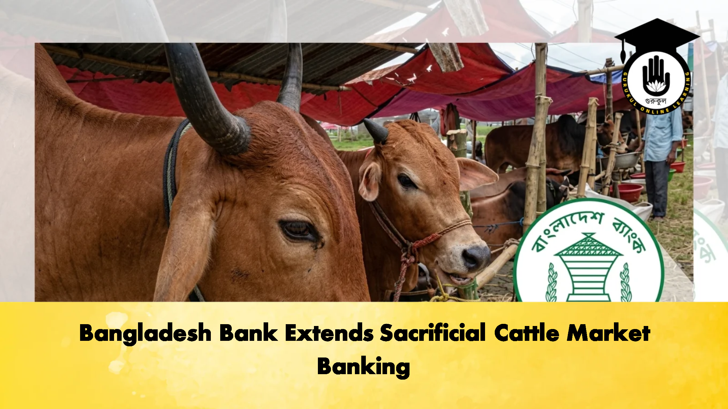 Bangladesh Bank Extends Sacrificial Cattle Market Banking 1 Bangladesh Bank Extends Sacrificial Cattle Market Banking 2 Banking Gurukul, GOLN Bangladesh Bank Extends Sacrificial Cattle Market Banking
